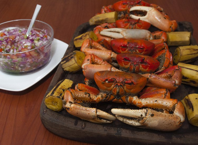 X27C3EC7FRFK7FAUGUQIJEYOCY